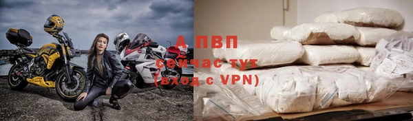 индика Верхний Тагил