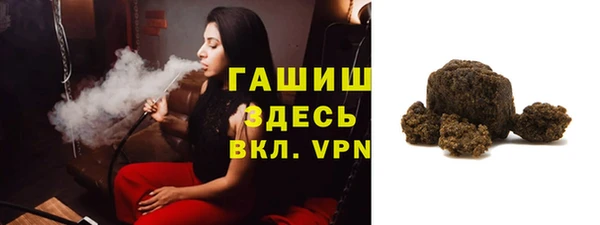 индика Верхний Тагил