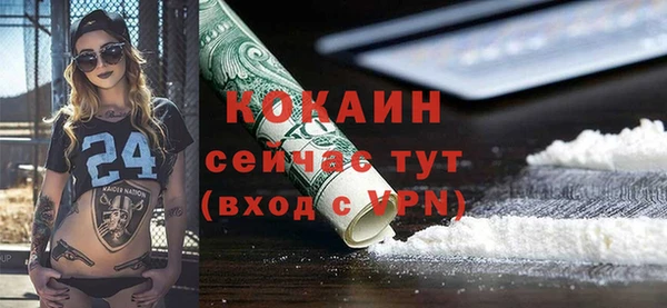 индика Верхний Тагил