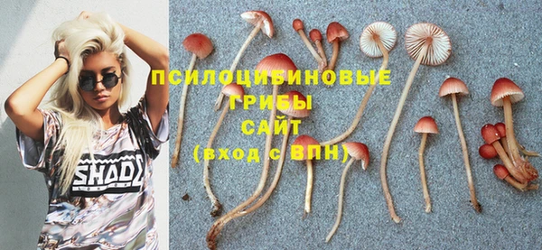 гашишное масло Верея