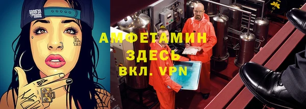 индика Верхний Тагил
