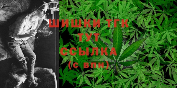 индика Верхний Тагил