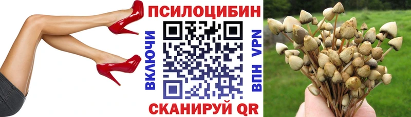 Псилоцибиновые грибы GOLDEN TEACHER  Пикалёво 